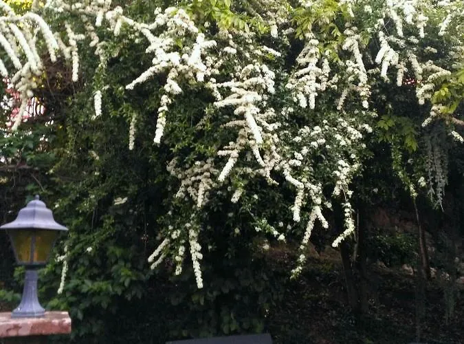 Privat bolig Bienvenue ! *